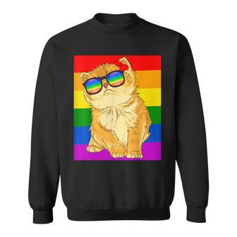 Funny Cat Lgbt Gay Rainbow Pride Flag Boys Men Girls Women  Sweatshirt
