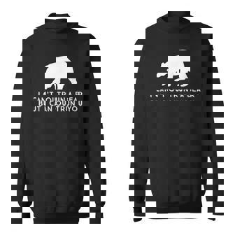 Funny I Cant Outrun A Bear But I Can Outrun You Sweatshirt - Thegiftio