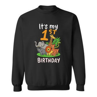 Its My 1St Birthday Funny First Birthday Zoo Lover Apparel Sweatshirt | Mazezy