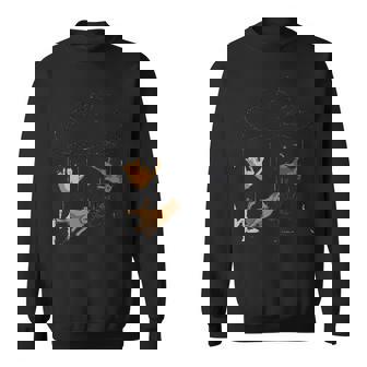 Raining Cats & Dogs Funny Dog Cat Lover Sweatshirt - Thegiftio UK