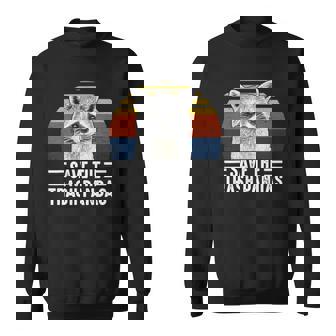 Save The Trash Panda Funny Raccoon Lover Sweatshirt | Mazezy