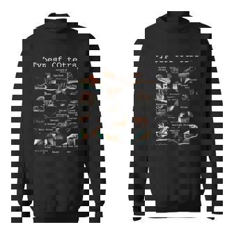 Types Of Otters Sea Otter Giant Otter Educational Animal Sweatshirt - Thegiftio