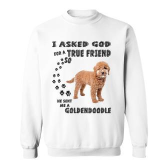 Mini Goldendoodle Quote Mom Doodle Dad Art Cute Groodle Dog Sweatshirt | Mazezy
