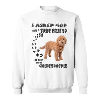 Mini Goldendoodle Quote Mom Doodle Dad Art Cute Groodle Dog Sweatshirt - Thegiftio UK