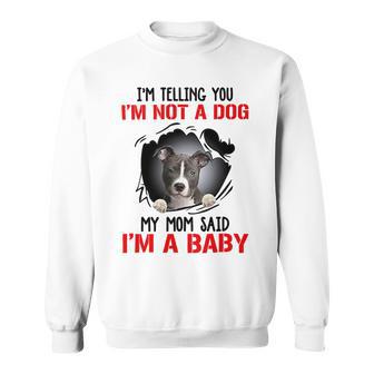 Pitbull Im Telling You Im Not A Dog 789 Shirt Sweatshirt | Favorety