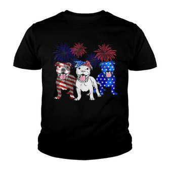 American Pitbull Dog Firework 4Th Of July Usa Flag Patriotic V2 Youth T-shirt - Seseable