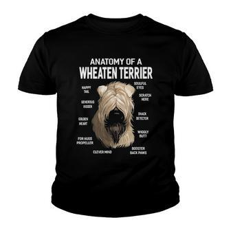 Dogs 365 Anatomy Of A Soft Coated Wheaten Terrier Dog Youth T-shirt | Mazezy UK
