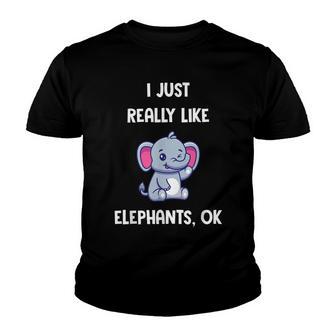 Fun Elephant Fun Quote I Just Really Like Elephants Youth T-shirt - Thegiftio UK