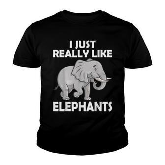 I Just Really Like Elephants Cute Circus Elephant Lovers V2 Youth T-shirt - Thegiftio UK