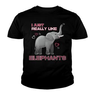I Just Really Like Elephants Funny Elephant Lover Owner Youth T-shirt - Thegiftio UK
