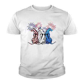Rhodesian Ridgeback Dog 4Th Of July Patriotic Animal Tees Youth T-shirt - Thegiftio UK