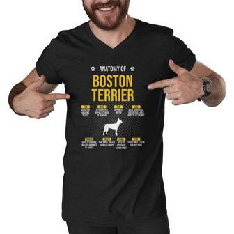Anatomy Of Boston Terrier Dog Lover Men V-Neck Tshirt | Mazezy