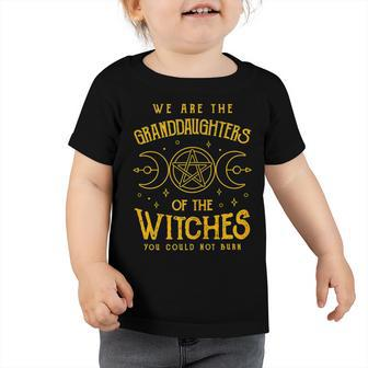 We Are The Granddaughters Of The Witches You Could Not Burn 211 Shirt Toddler Tshirt | Favorety UK