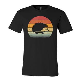 Vintage Retro Sunset Hedgehog Lovers Jersey T-Shirt | Mazezy