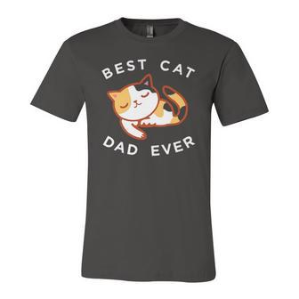 Calico Cat Dad Best Kitty Father Ever Tee Jersey T-Shirt | Mazezy