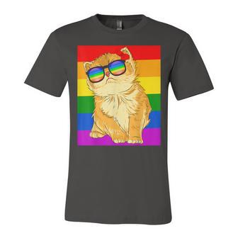 Cat Lgbt Gay Rainbow Pride Flag Boys Girls Jersey T-Shirt | Mazezy