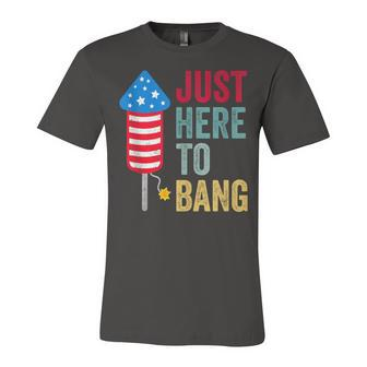 Fourth Of July 4Th Of July Funny Im Just Here To Bang Unisex Jersey Short Sleeve Crewneck Tshirt - Seseable