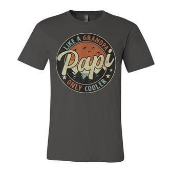 Papi Like A Grandpa Only Cooler Vintage Retro Fathers Day Jersey T-Shirt | Mazezy