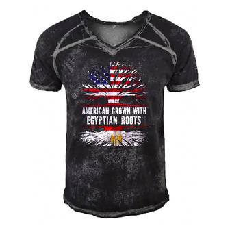 American Grown With Egyptian Roots Usa Flag Egypt Men's Short Sleeve V-neck 3D Print Retro Tshirt | Mazezy