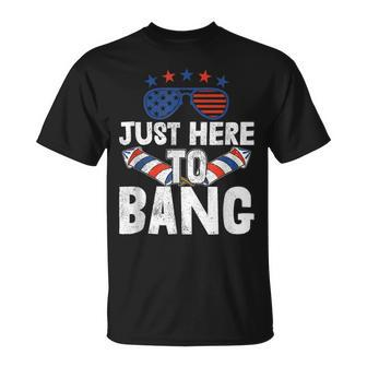 Funny Fireworks Patriotic 4Th Of July Just Here To Bang V2 Unisex T-Shirt - Seseable