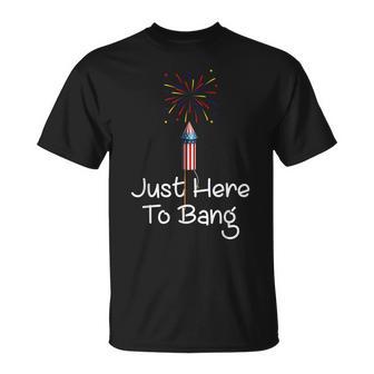 Funny Fourth Of July 4Th Of July Im Just Here To Bang Unisex T-Shirt - Seseable