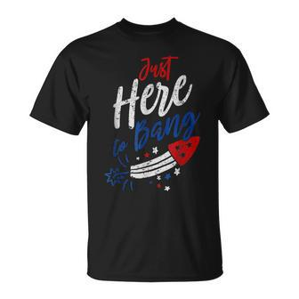 Just Here To Bang 4Th Of July Funny Fireworks Patriotic Unisex T-Shirt - Seseable