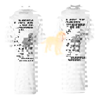 Mini Goldendoodle Quote Mom Doodle Dad Art Cute Groodle Dog V2 T-shirt - Thegiftio