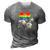 Lgbt Pride Papa Panda Bear Free Dad Hugs Fathers Day Love Raglan Baseball Tee 3D Print Casual Tshirt Grey
