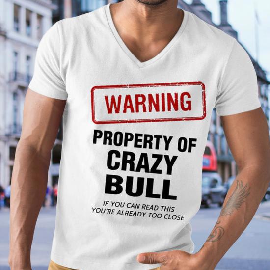 Bull Name Gift Warning Property of Crazy Bull Men's V-Neck T-Shirt - Back View