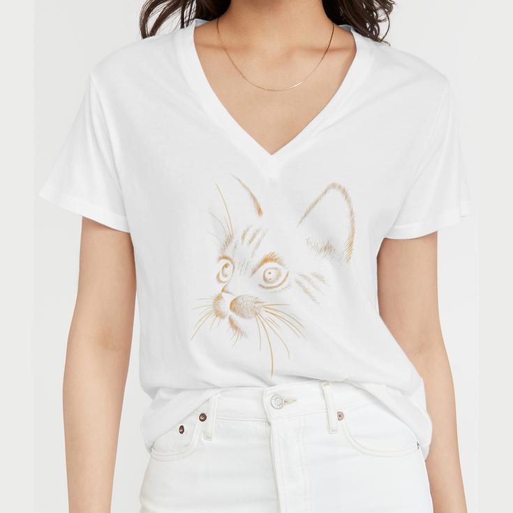 Cat Got Your Soul V2 Women V-Neck T-Shirt