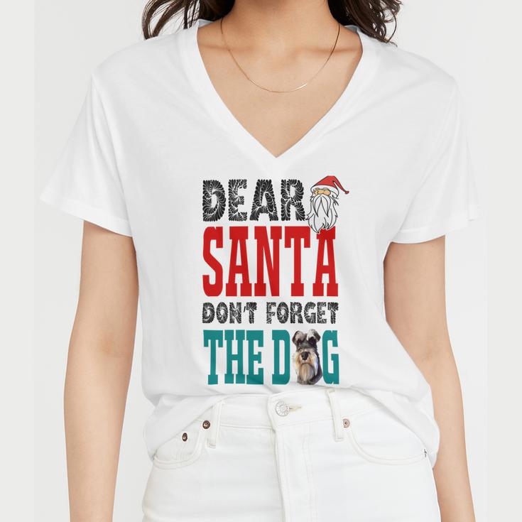 Dear Santa Dont Forget The Dog Women V-Neck T-Shirt