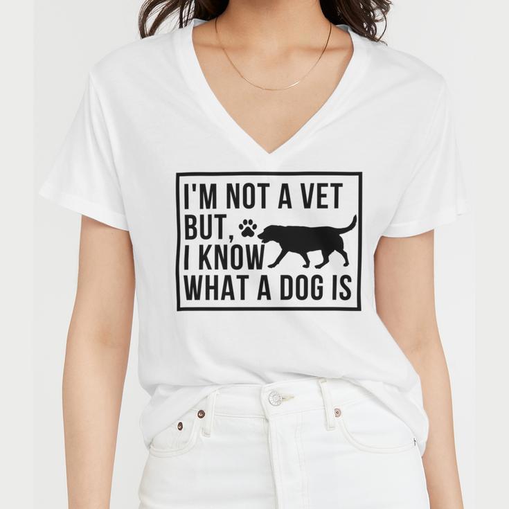 Im Not A Vet But I Know What A Dog Is Transgender Gift Women V-Neck T-Shirt