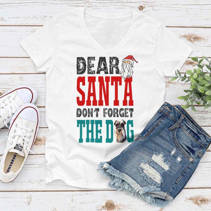 Dear Santa Dont Forget The Dog Women V-Neck T-Shirt