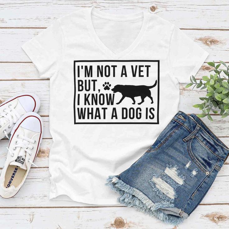 Im Not A Vet But I Know What A Dog Is Transgender Gift Women V-Neck T-Shirt