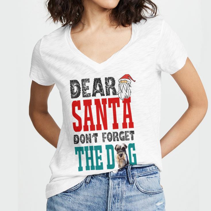 Dear Santa Dont Forget The Dog Women V-Neck T-Shirt