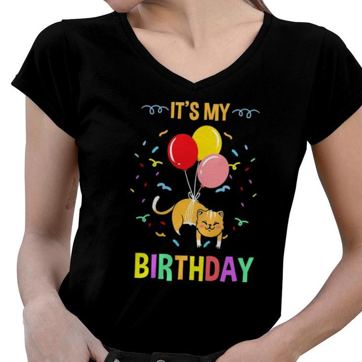 Its My Birthday Cat Pet Lover Women V-Neck T-Shirt
