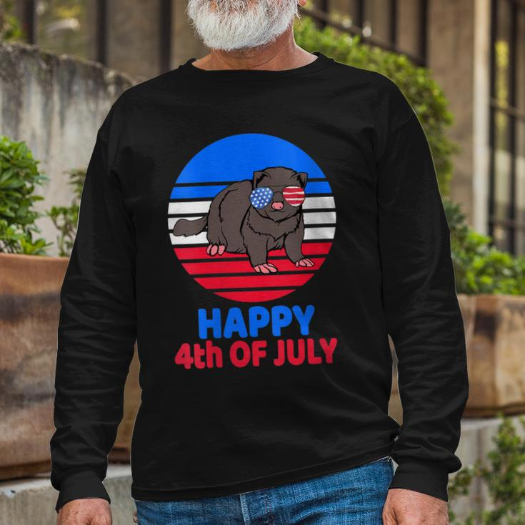 Ferret 4Th Of July For Ferret Lover July 4Th Ferret Mom Dad Long Sleeve T-Shirt Gifts for Old Men
