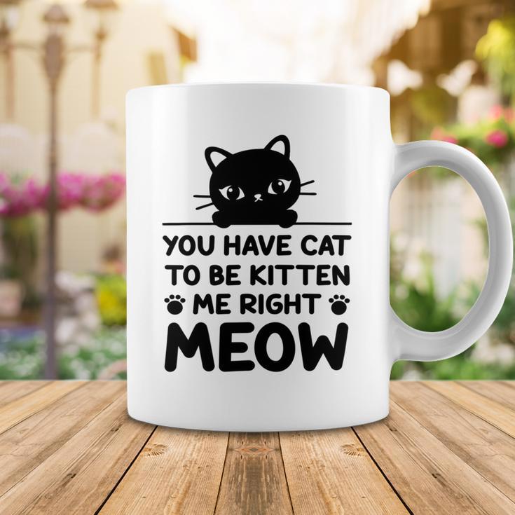 Cute Cat Lover Youve Got To Be Kitten Me Coffee Mug Funny Gifts