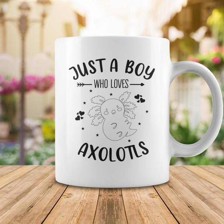 Funny Axolotl Quote Mexican Walking Fish Just A Boy Who Loves Axolotls Coffee Mug Funny Gifts