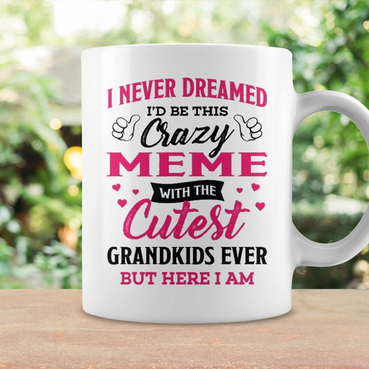 Meme Grandma Gift I Never Dreamed I’D Be This Crazy Meme Coffee Mug Gifts ideas