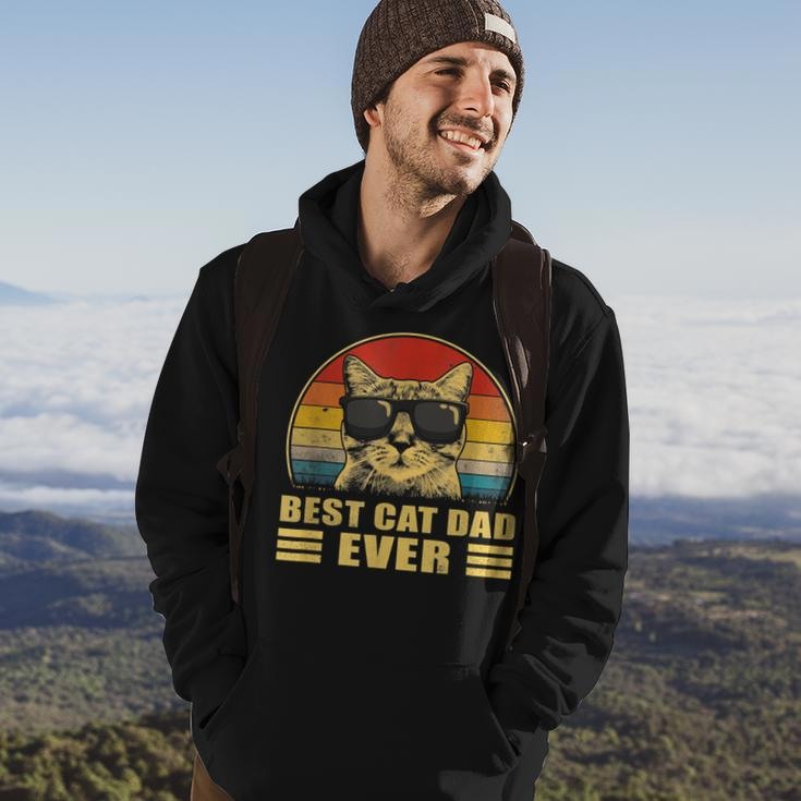 Best Cat Dad Ever Bump Fit Fathers Day Gift Daddy For Men Hoodie Lifestyle