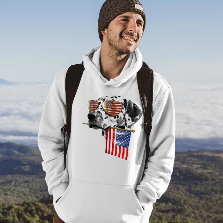 4Th Of July Fun American Flag Dalmatian Dog Lover Gift Hoodie Lifestyle
