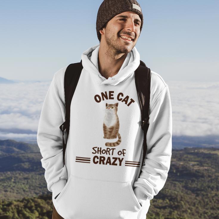 One Cat Short Of Crazy Hoodie Lifestyle