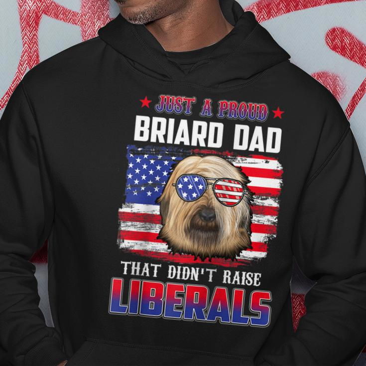 Just A Proud Briard Dad Merica Dog Patriotic 4Th Of July Hoodie Funny Gifts