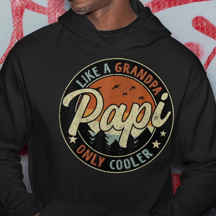 Papi Like A Grandpa Only Cooler Vintage Retro Fathers Day Hoodie Unique Gifts