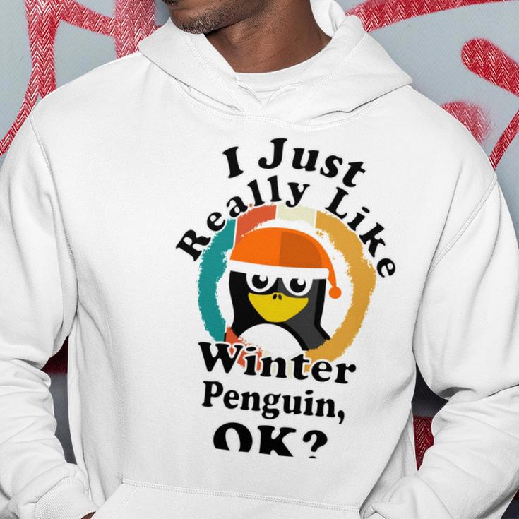 I Really Like Winter Penguin Ok Hoodie Funny Gifts