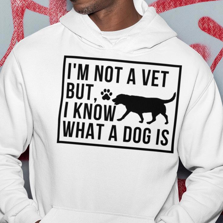 Im Not A Vet But I Know What A Dog Is Transgender Gift Hoodie Funny Gifts