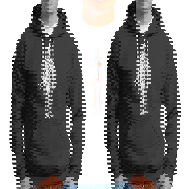 Cardiovascular Circulatory System Labeled Diagram Hoodie Mazezy
