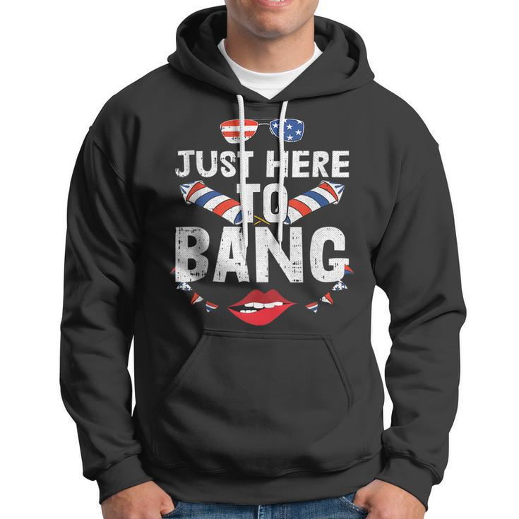 Im Just Here To Bang 4Th Of July Fireworks Fourth Of July Hoodie