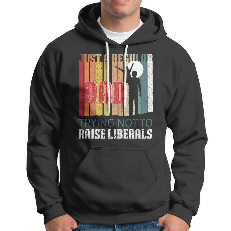Just A Regular Dad Trying Not To Raise Liberals Fathers Day Hoodie